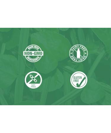 Dear Nature Berberine 500mg 90 Vegetable Capsules - Support Heart Health Immune System Healthy Cholesterol - Gluten Free & Non-GMO (Pack of 1) - Buy Online on GoSupps.com