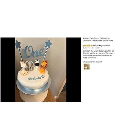 Personalised Zebra Cake Topper - Edible Jungle Animal Birthday Decoration with an Edible Glue - Baby Shower Party Supplies - Buy Online on GoSupps.com