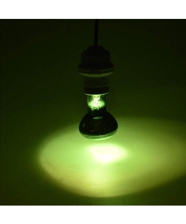 E27 Reptile Heat Bulb Infrared Heating Light Bulbs 25/50/75/100W UV Tortoise Turtle Light Beneficial UVA Basking Lamp Heat Bulb(25W Green) 25w Green - Buy Online on GoSupps.com