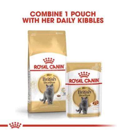 Royal Canin British Shorthair Wet Cat Food 85 g (Pack of 12) - Buy Online on GoSupps.com