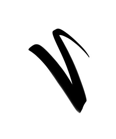 L'Or al Paris Camila Cabello Flash Liner 01 Black - Precise Felt Tip Eyeliner 2.5 ml | International Shipping Available - Buy Online on GoSupps.com