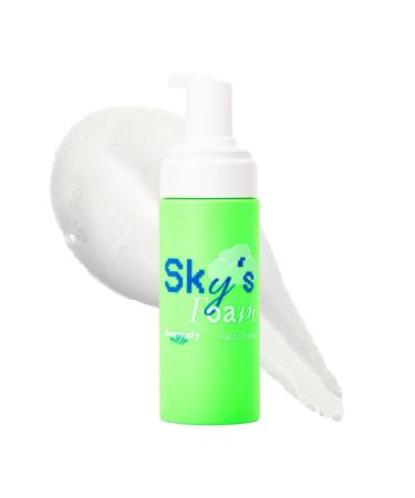 Heavenly Foaming Cleanser Face Wash Gentle Facial Cleanser with Aloe Vera & Chamomile Hydrating Face Wash for Women & Men Sensitive Skin 120mL/4.05 fl oz Bottle