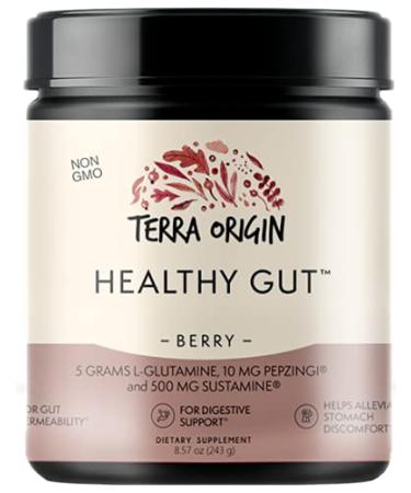 Terra Origin Healthy Gut Berry 8.57 oz (243 g)