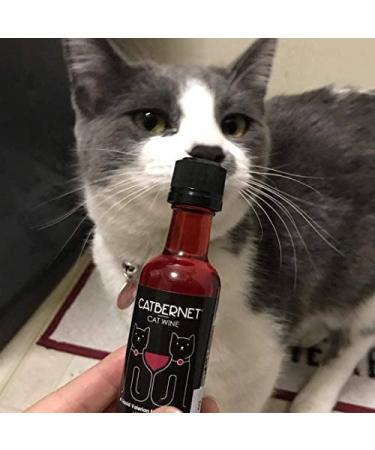 PetWineShop Cat Wine Pawty Pack - Catnip Wine Set for Cats & Kittens - Buy Online on GoSupps.com
