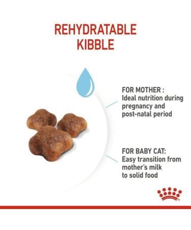 Royal Canin Dry Cat Food Mother & Baby 34 Complete Food 400 g 400 g (Pack of 1) - Buy Online on GoSupps.com