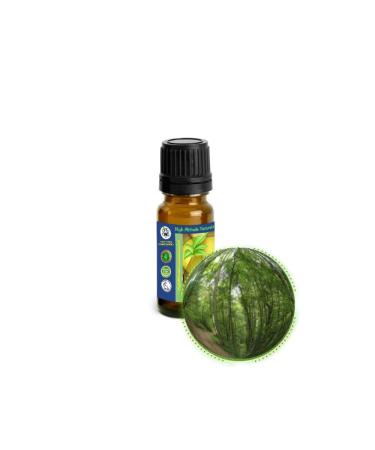 10ml (1/3oz) Black Birch (Sweet) Bark Essential Oil (Betula Lenta)