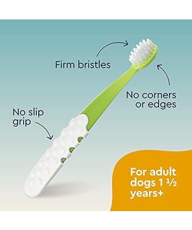 RADIUS Organic Dog Toothbrush & Toothpaste Kit - Non-Toxic, Firm Bristle, Dental Care for Adults - Buy Online on GoSupps.com