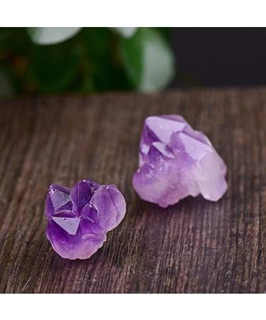 50/100g Natural Amethyst Raw Quartz Small Cluster Reiki Stone Crystal Point Specimen Home Decor Raw Crystals - Crystal Cluster (Color : Random delivery Size : 100g) 100g Random delivery - Buy Online on GoSupps.com