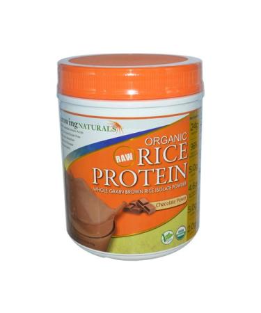 Growing Naturals Organic Rice Protein Powder, Chocolate - 1 Each - 16.79 OZ
