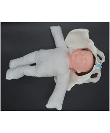 Life-Size Female Pelvic Model - Standard Birth Simulator with Baby Pool Removable Placenta & Navel Cord | Ideal for Birth Demonstrations - Buy Online on GoSupps.com