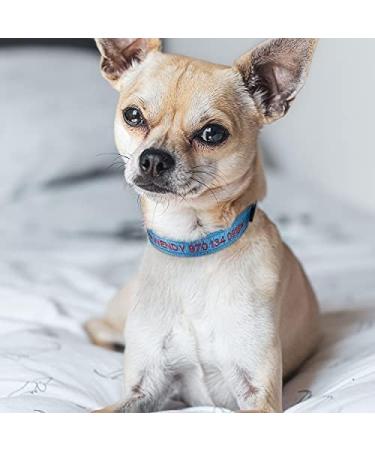 Tagme Personalized Dog Collar for Small Dogs - Embroidered Reflective Nylon with Pet Name & Phone Number - Sky Blue (1 Pack) - Buy Online on GoSupps.com