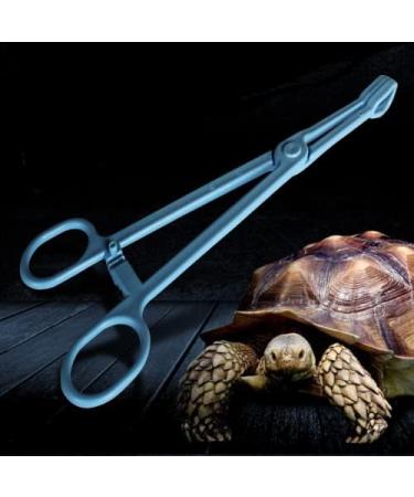Blue Plastic Reptile Feeding Clip 24.5cm - Terrarium Tongs for Snake Lizard & Pet Raising - Buy Online on GoSupps.com