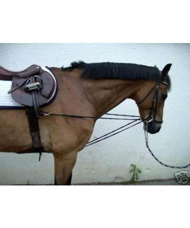 Paw-and-hoof triangle reins Viennese reins running reins pony