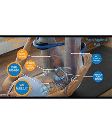 Ultimate Back Pain Relief: Sciatica & Hip Pain Support with Lumbar Brace for Strengthening - Buy Online on GoSupps.com
