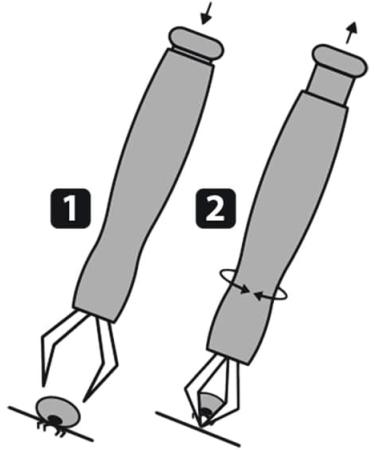 Buy Karlie Plastic Tick Tweezers for Dogs Cats & Rodents - International Shipping Available - Buy Online on GoSupps.com