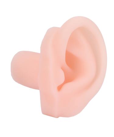 Left Human Ear Model Ear Model Durable Mutifuctional Waterproof Professional for Ear Impression Exercises for Shop Window Display