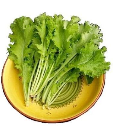 Fresh Saag Leaves Bunch | Single Bunch | Mustard Leaves | Sarso Ka Saag Leaf | Green leafy | Spinach | Broad leaves | Approx 200G - Buy Online on GoSupps.com
