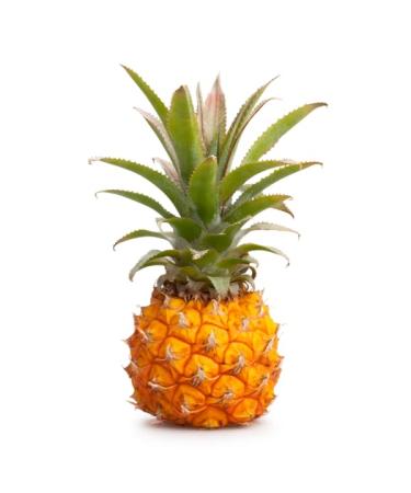 Baby Pineapple 4 Units