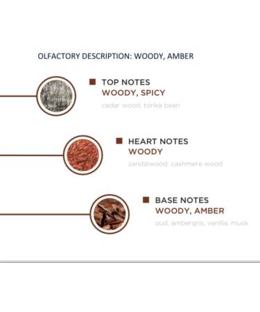 Oud For You - Arabian Perfume for Women and Men Extrait de Parfum Mens Cologne with Cedar Wood Tonka Bean - Sandalwood Cashmere Wood - Ambergris Oud Musk Vanilla Perfume 100ml 3.4 Fl Oz (Pack of 1) Oud For You - Buy Online on GoSupps.com