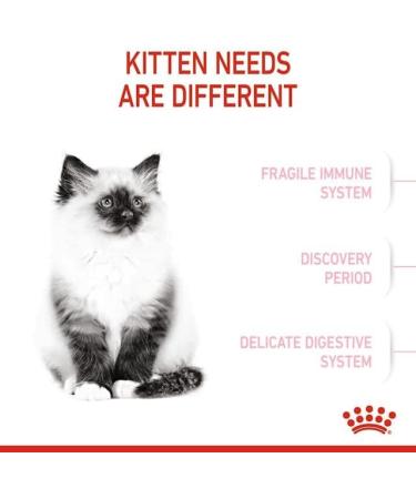 Royal Canin Kitten Dry Food 400g Poultry 400 g (Pack of 1) - Buy Online on GoSupps.com