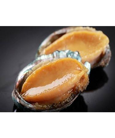 WENXUANSU: 2 Pound(908 grams)Vacuum packaged conch abalone snack from China Sea - Buy Online on GoSupps.com