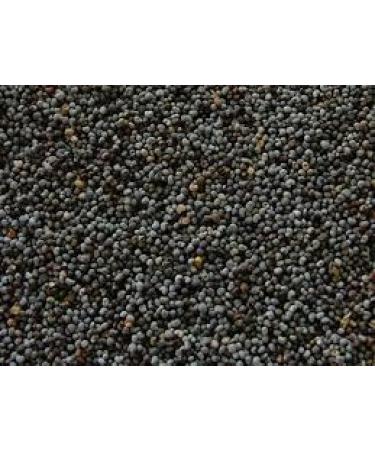 Chelmerfoods Poppy Seed 1kg | Premium product | Add them to breads pastries cakes and other baked goods for a nutty flavor and crunchy texture. - Buy Online on GoSupps.com