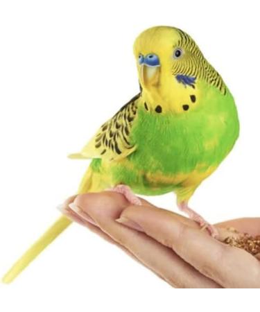 MILLET SPRAYS 1Kg PREMIUM AVIARY BIRD FOOD - Buy Online on GoSupps.com
