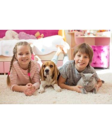 Kaiserrein 1L Odor Neutralizer - Powerbac Air Universal Perfume-Free Odor Remover for Apartments Cars & Pets - Eliminate Smoke Urine & Animal Smells - Buy Online on GoSupps.com