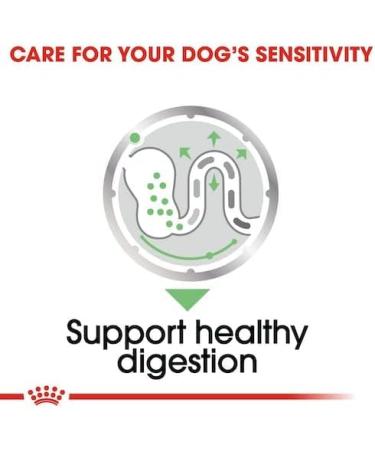 Royal Canin Digestive Care | Double Pack | 2 x 12 x 85 g | Wet food for adult dogs | From 10 months of age | Suitable for dogs with sensitive digestion - Buy Online on GoSupps.com