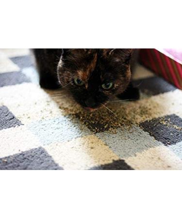 Meowijuana Whisker Tickler Catnip Chamomile & Dandelion Blend - 0.917 oz - Medium - Buy Online on GoSupps.com