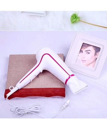 Pro Hair Dryer with Pearl Ceramic Technology Hair Dryer Home Barber Shop High Power Hair Salon Hair Dryer Special Hot and Cold Air - Buy Online on GoSupps.com