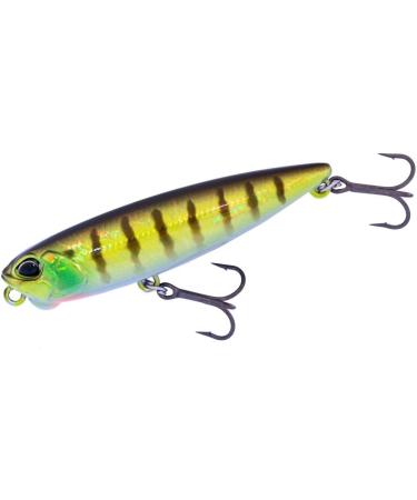 Duo Realis Pencil 65 ACC3113 Neon Tiger - Buy Online on GoSupps.com