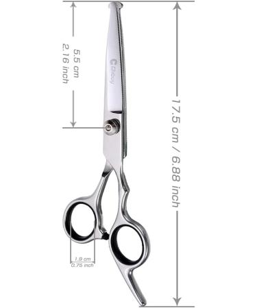 Professional Stainless Steel Dog Cups & Eye Cutters - Pet Care Tools | 17x6.6 cm - Buy Online on GoSupps.com