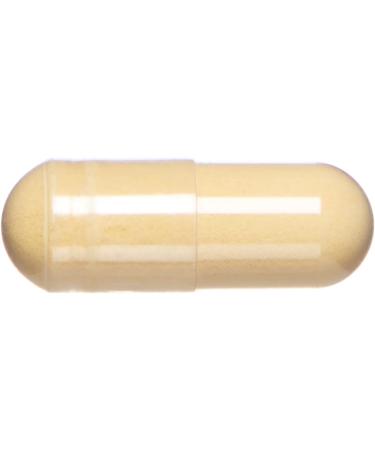 Tomorrow's Nutrition SunActive IsoQ - 25x More Bioavailable Quercetin Supplement - Buy Online on GoSupps.com