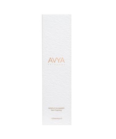 Avya Skincare Non-Foaming Gentle Cleanser/Removes Impurities and Cleans Skin Without Stripping Moisture/Fights Acne and Shrinks Pores for Improved Texture and Brightness (4oz) 4 Fl Oz (Pack of 1) - Buy Online on GoSupps.com