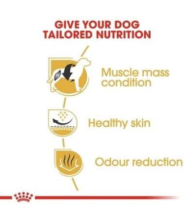 Royal Canin French Bulldog Pack of 2 adult dog kibbles 3 kg - Buy Online on GoSupps.com