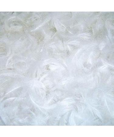 Dream Solutions USA 10/90 White Goose Down Pillow Stuffing Feathers - 1 LB - Ultra-Plush Hungarian Softness for Comforters, Pillows, Jackets & More - Buy Online on GoSupps.com
