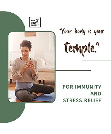 The Youth Effect Mushroom Defend Coffee Infused with Organic Reishi Elderberry & Astragalus. Adaptogens for All-Day Mind Relief & Immune Support Low Caffeine Coffee Substitute. (Adaptogenic Coffee Organic Mushrooms 100g 50 Servings MADE IN CANADA) - Buy Online on GoSupps.com