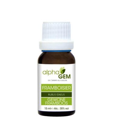 Framboisier bio (15 ml) - AlphaGem - Gemmoth rapie 15 ml (Lot de 1)