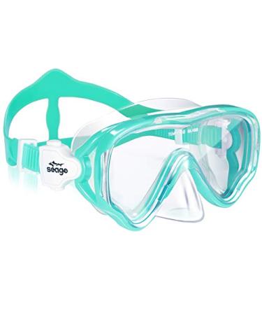 Seago Kids Swim Goggles Snorkel Diving Mask for Youth(5-15), Anti-Fog 180 Clear View Green