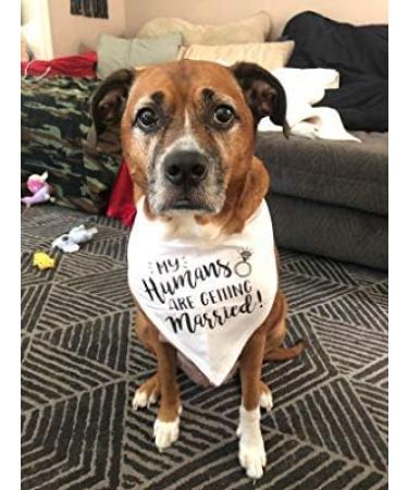 Dog Bandana EYLEER My Humans are Getting Married Dog Bandanas Scarfs Bibs for Small Medium Large Dogs Boy Girl Engagement Wedding Announcement Accessories Gifts (My Humans are Getting Married) - Buy Online on GoSupps.com