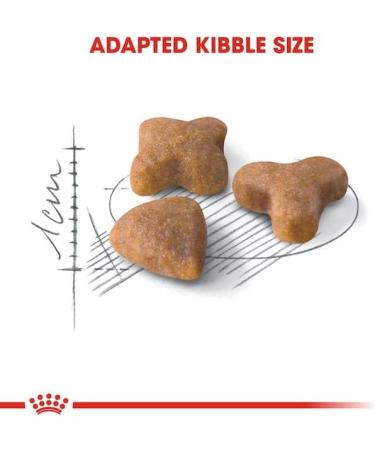 Royal Canin Sensible Complete Adult Dry Cat Food 3 x 400g - Buy Online on GoSupps.com