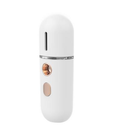 PRETYZOOM Humidificateur Facial Nano Portable Blanc Vaporisateur Brume Fine Hydratante Appareil de Soins Visage Compact pour Bureau et Voyage 1 Pi ce