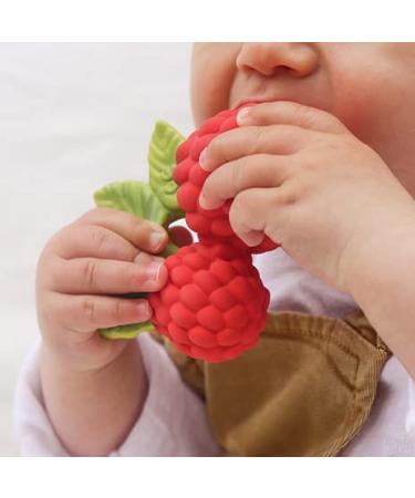 Bad Bijtspeltje Valery Framboos - Eco-Friendly Baby Spoon for Teething - International Shipping Available - Buy Online on GoSupps.com
