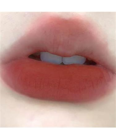 BADALO Velvet Mist Water Mist Lip Mud Soft Silky Matte Matte Vegan White NonStick Lip Gloss Lip Glaze Lipstick Color 4Orange Brown Black Tea - Buy Online on GoSupps.com