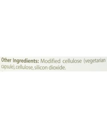 Doctor's Best Extra Strength Ginkgo Biloba - 120 Veggie Caps | Premium Memory & Focus Support - Buy Online on GoSupps.com