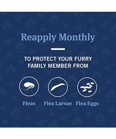 PetArmor Advanced 2 Flea Prevention for Small Cats - 6 Month Supply - Buy Online on GoSupps.com