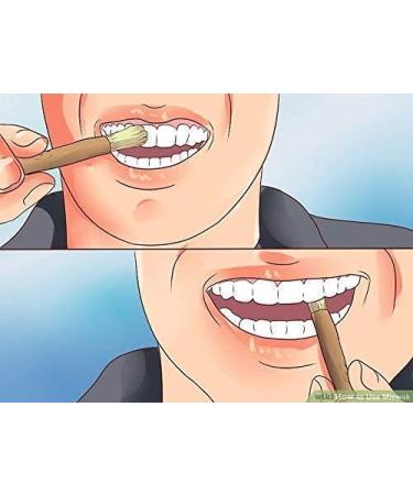 6 Pcs Al Falah Siwak Meswak Miswak Arak Peelu Chewing Sticks - Natural Flavor Herbal Toothbrush for Fresh Breath - Vacuum Sealed - Buy Online on GoSupps.com