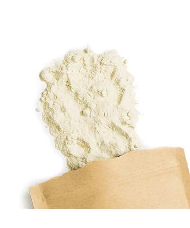 Terra Elements Organic Yacon Powder 200g | Pure Yacon Root from Peru | 100% Vegan & Raw | Rich in Fructooligosaccharides (FOS) - Buy Online on GoSupps.com