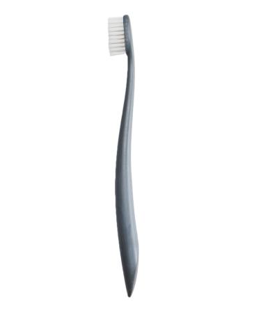 Natural Family Co. Biodegradable Cornstarch Toothbrush - Soft Monsoon Mist + Stand - Buy Online on GoSupps.com